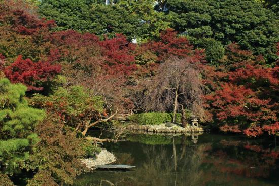 Happoen-trädgården